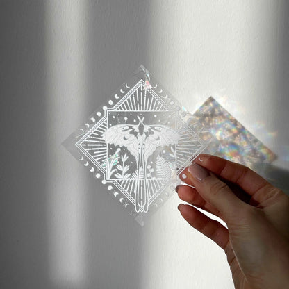 Suncatcher Sticker SC073 'Moth' Window Decal in sunlight